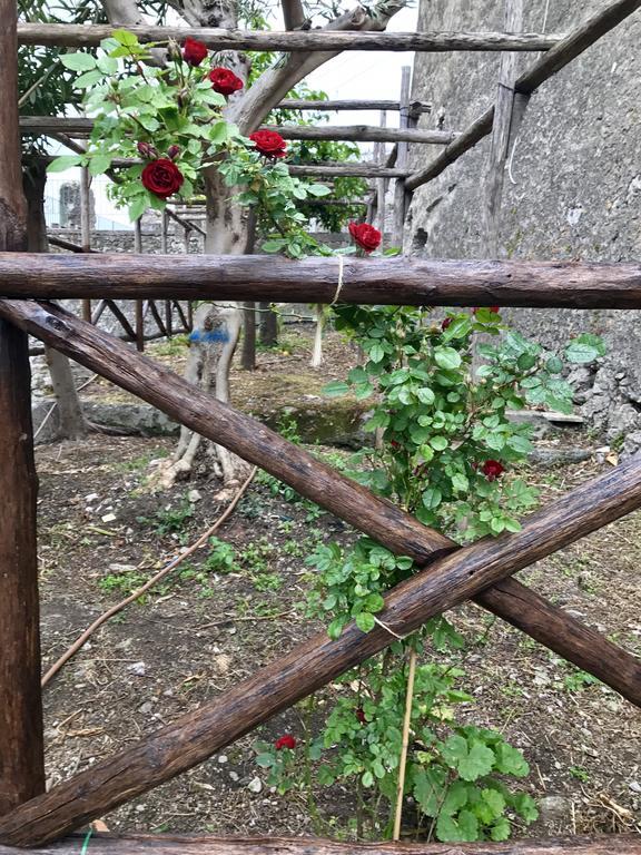 Holiday home Le Due Porte Maiori